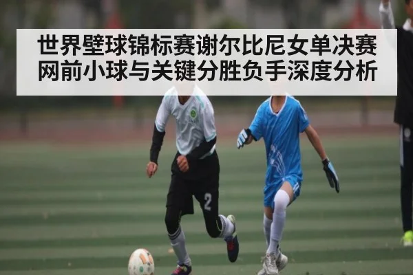 世界壁球锦标赛谢尔比尼女单决赛网前小球与关键分胜负手深度分析 - c7c7.app